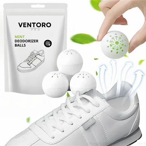 Mint Deodorizer Balls - 6pcs